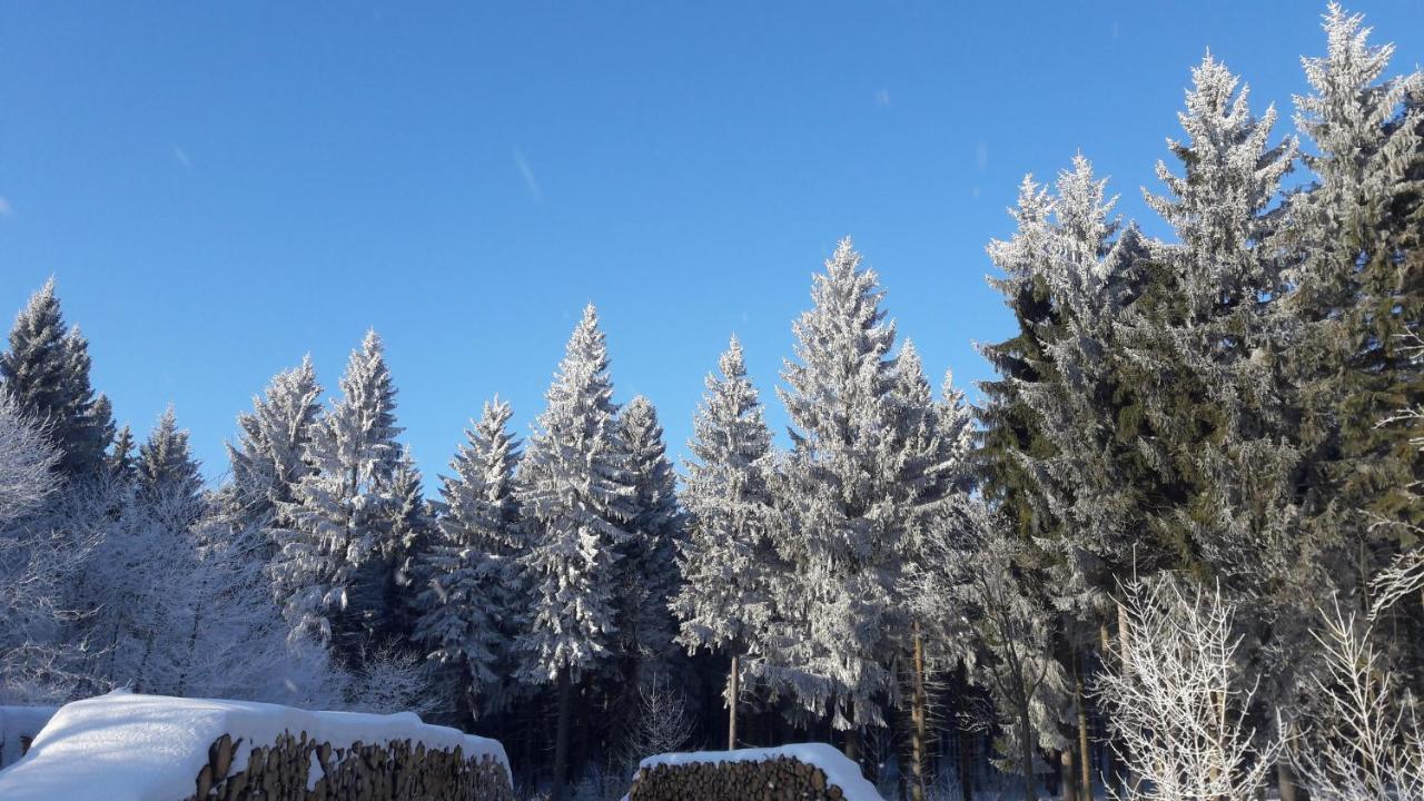 Ferienwohnung Floehatalblick Olbernhau Esterno foto